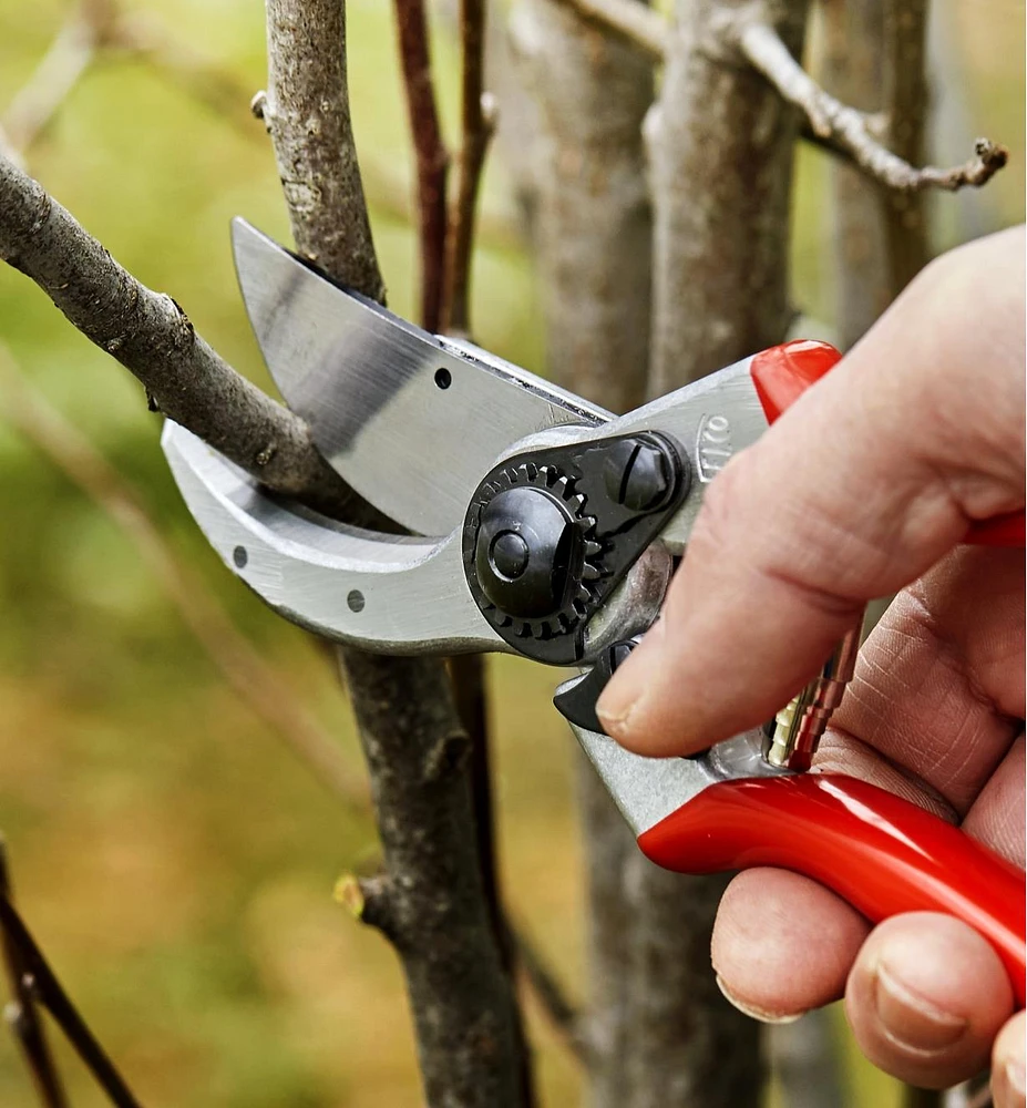 Felco Classic #2 Pruner & Pocket Knife