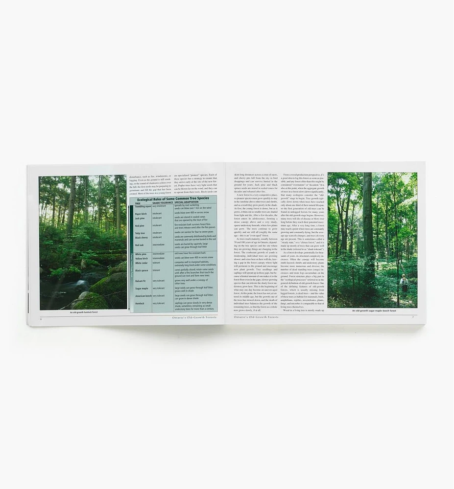 Ontario's Old-Growth Forests