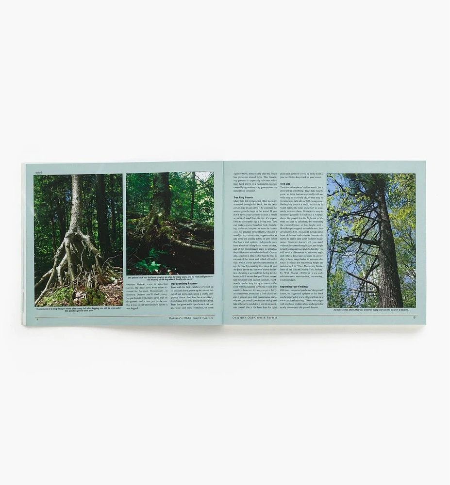 Ontario's Old-Growth Forests