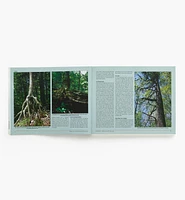Ontario's Old-Growth Forests