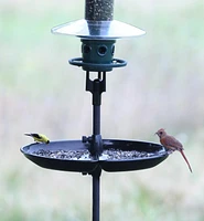 Seed Catcher & Tray Feeder