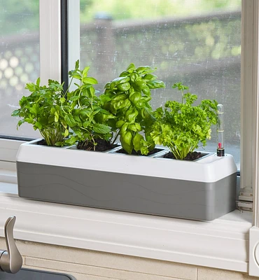 Jardinière auto-irrigante pour appui de fenêtre