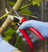 Felco Classic #2 Pruner & Pocket Knife