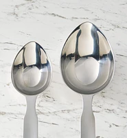 Long-Handled Measuring Scoops