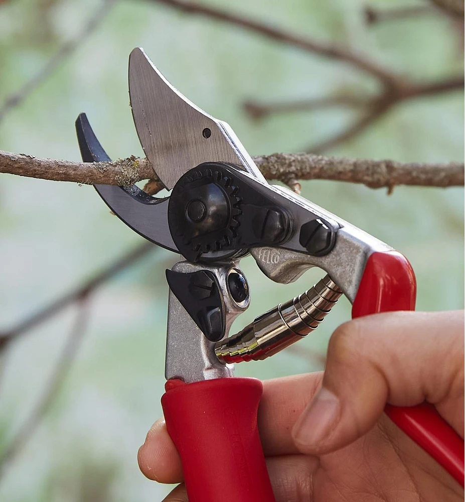 Felco #15 Pruner