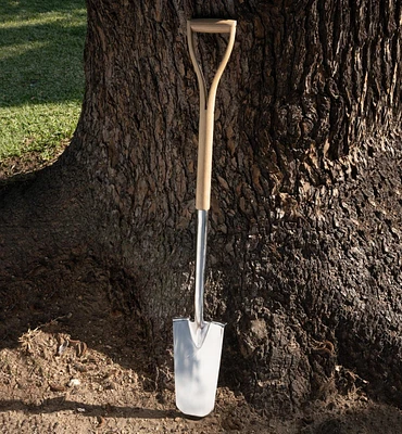 Transplant Spade