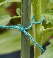 Jute Garden Twine