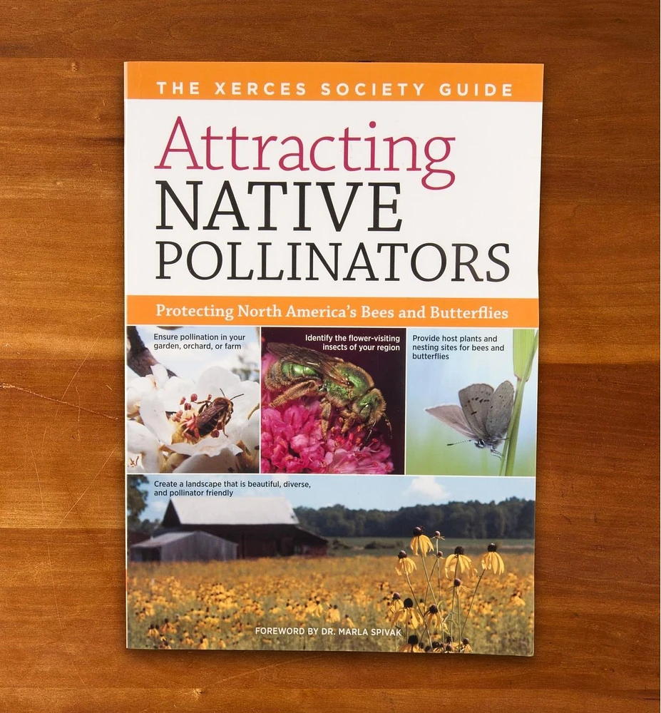 Attracting Native Pollinators