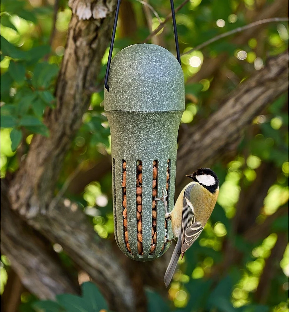 Peanut Bird Feeder