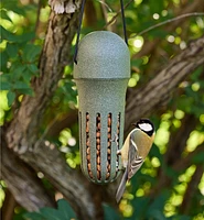 Peanut Bird Feeder