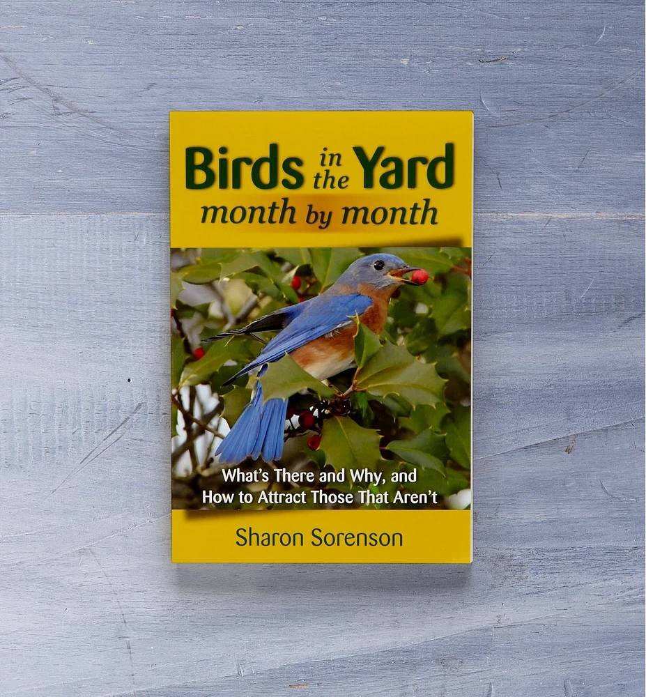 Birds in the Yard Month by Month