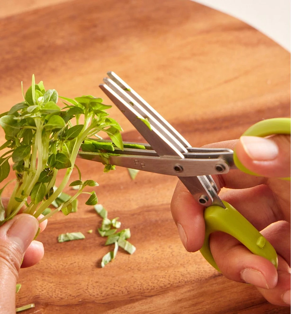 Pot et ciseaux pour fines herbes