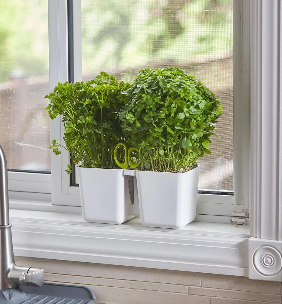 Herb Planter with Shears