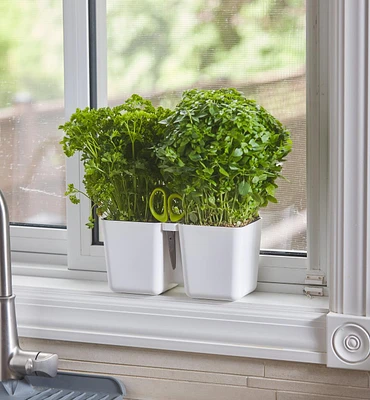 Herb Planter with Shears