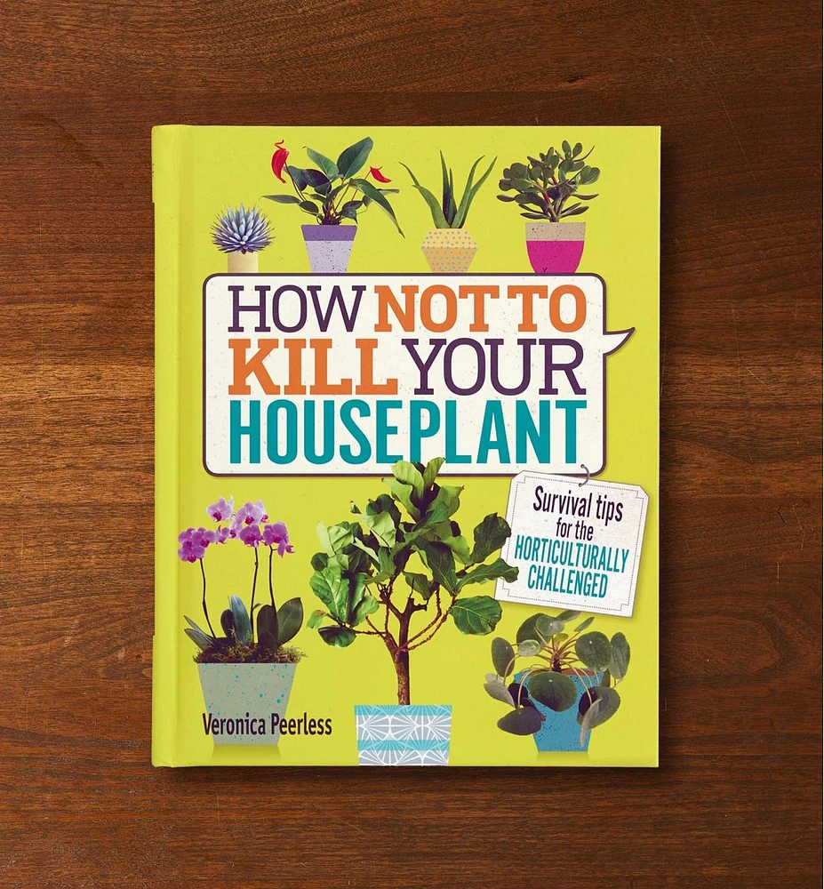 How Not to Kill Your Houseplant