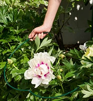 Lee Valley Peony Support