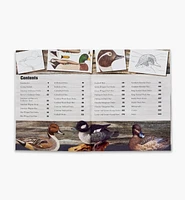 Decorative Decoy Carver's Ultimate Painting & Pattern Portfolio, Series One, Revised Edition
