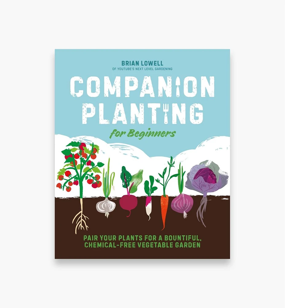 Companion Planting for Beginners: Pair Your Plants for a Bountiful, Chemical-Free Vegetable Garden