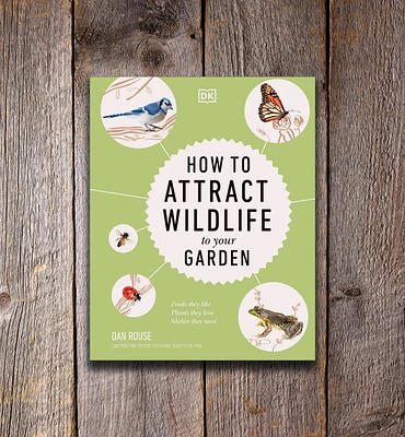 How to Attract Wildlife to Your Garden