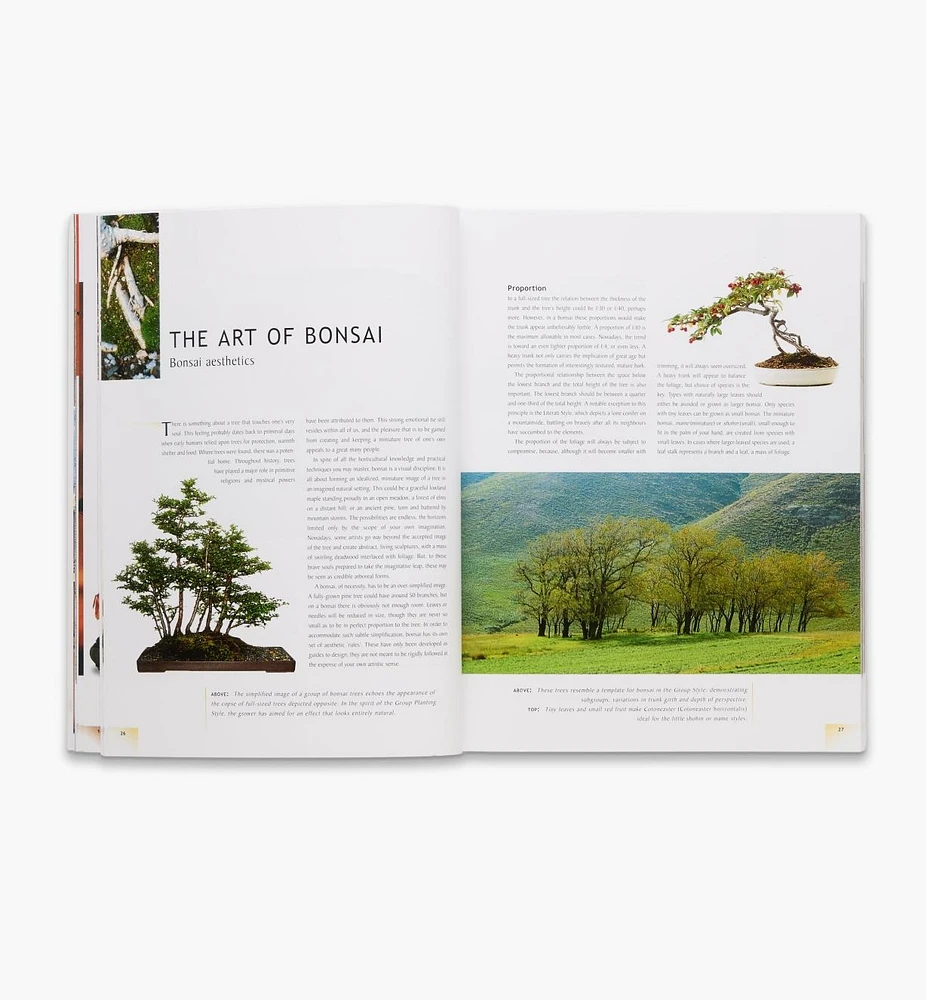 The Bonsai Handbook