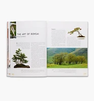 The Bonsai Handbook