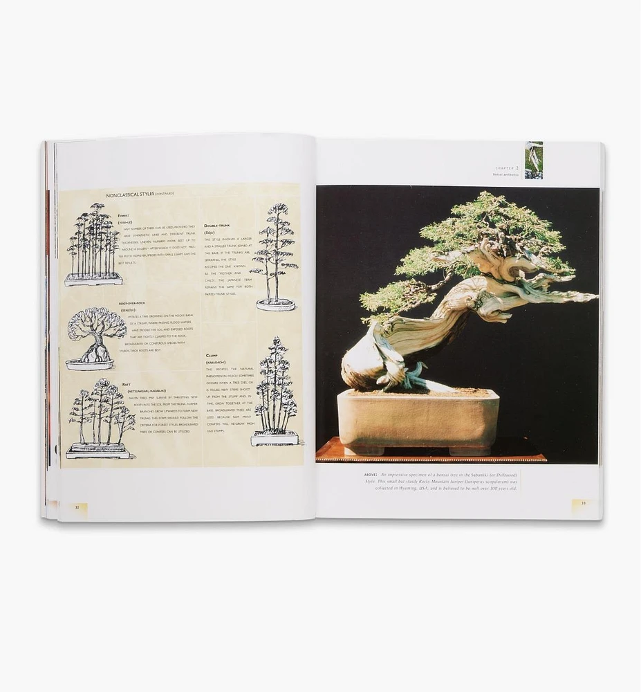 The Bonsai Handbook