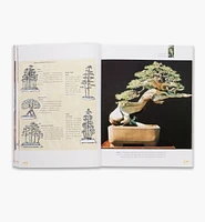 The Bonsai Handbook