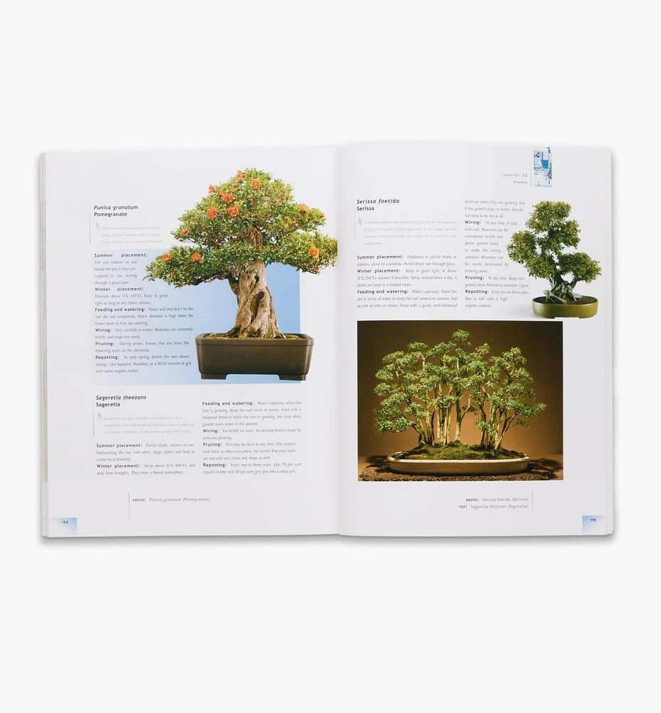 The Bonsai Handbook