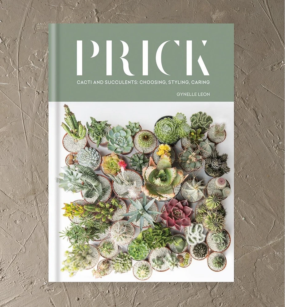 Prick – Cacti and Succulents: Choosing, Styling, Caring