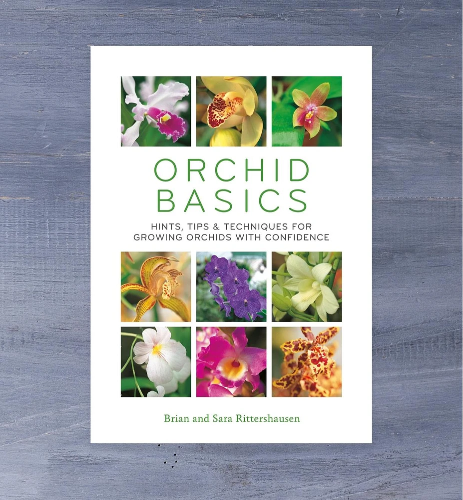 Orchid Basics – Hints, Tips & Techniques for Growing Orchids with Confidence