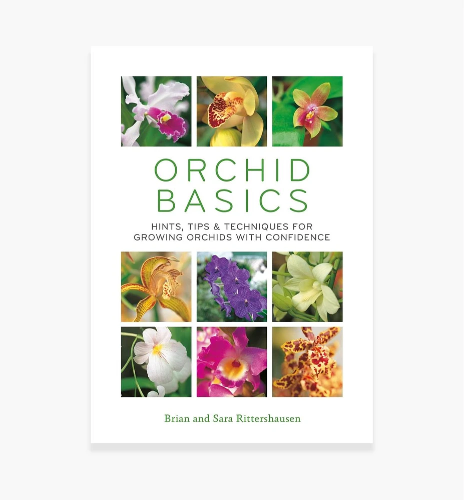 Orchid Basics – Hints, Tips & Techniques for Growing Orchids with Confidence