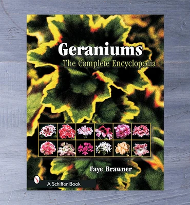 Geraniums