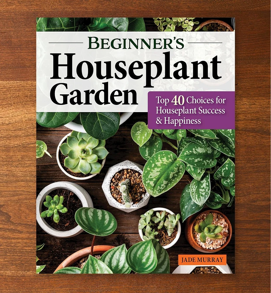 Beginner's Houseplant Garden