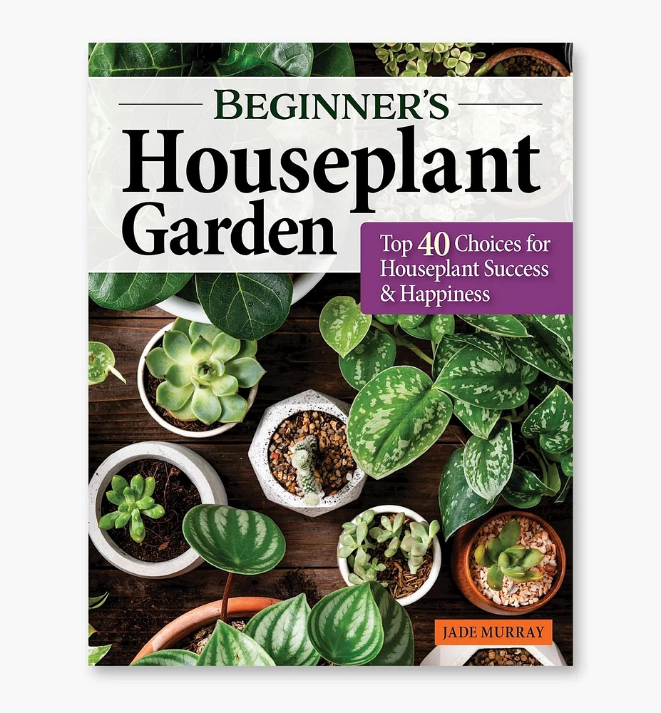 Beginner's Houseplant Garden