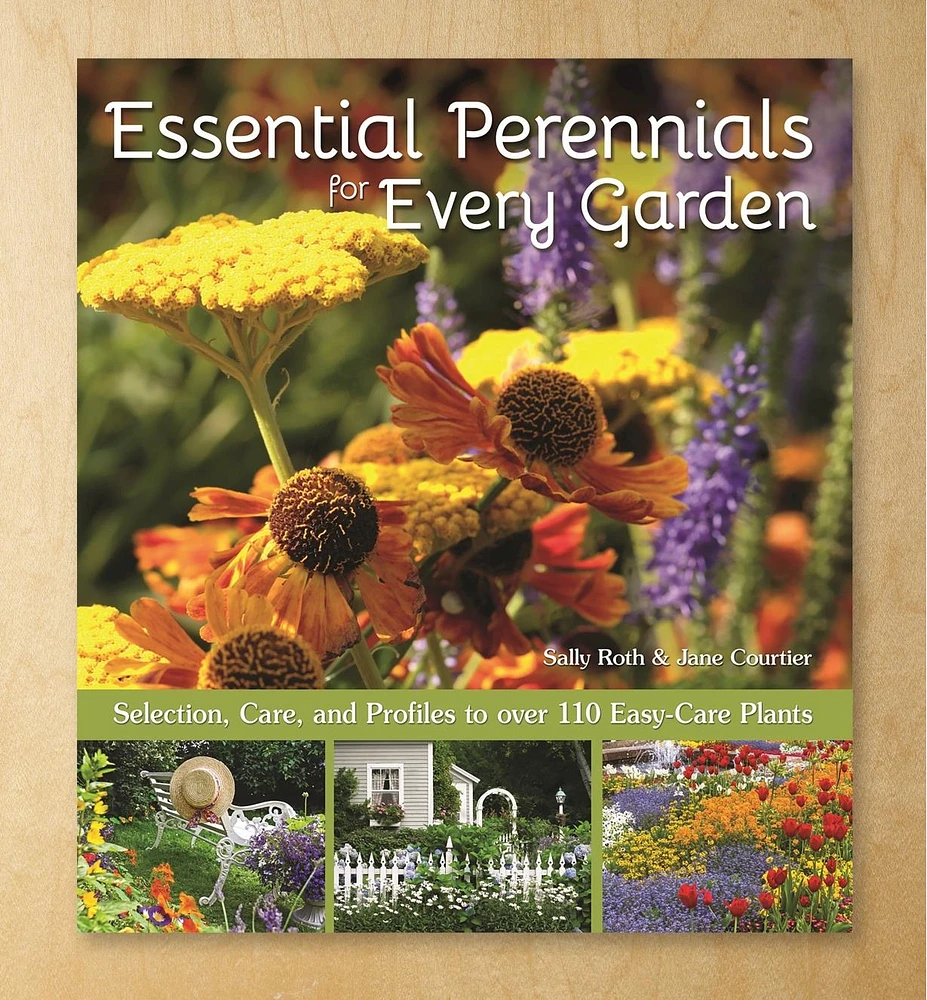 Essential Perennials for Every Garden