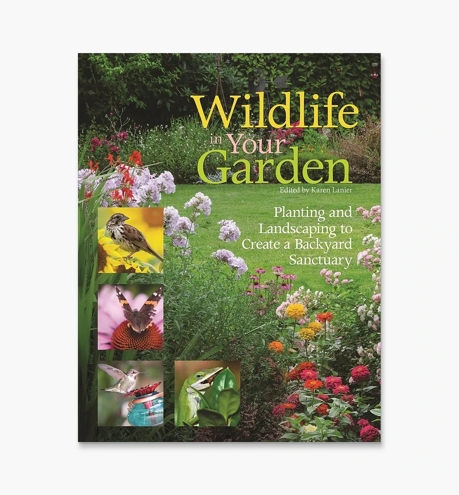 Wildlife in Your Garden