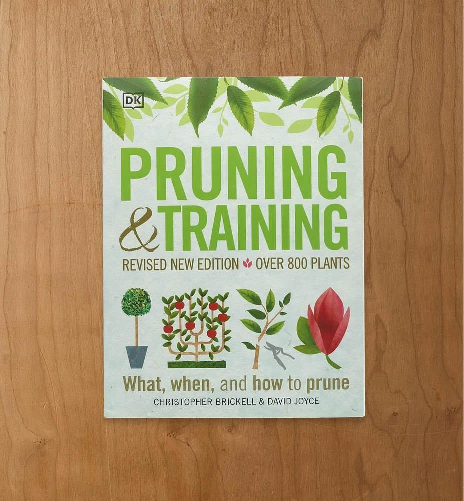 Pruning & Training