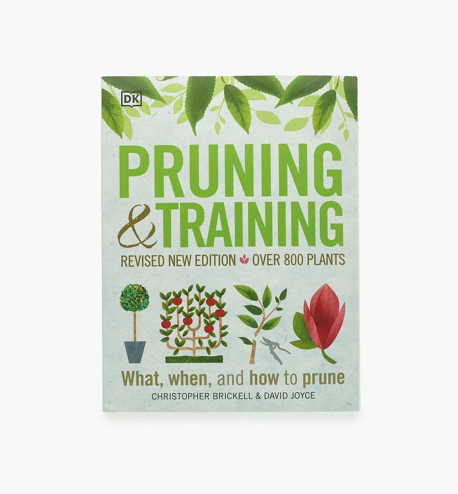 Pruning & Training