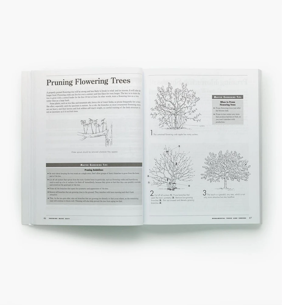 Pruning Made Easy