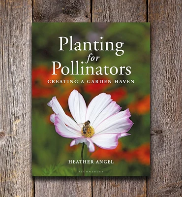 Planting for Pollinators