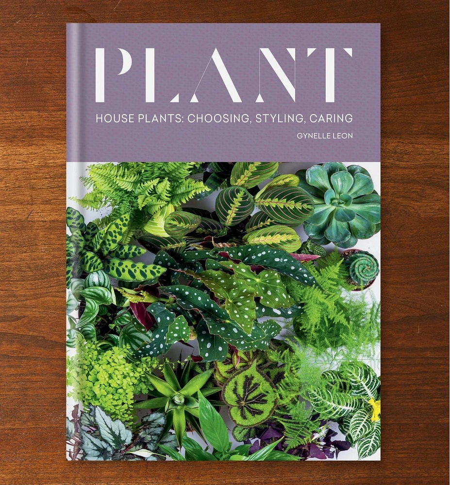 Plant – House Plants: Choosing, Styling, Caring