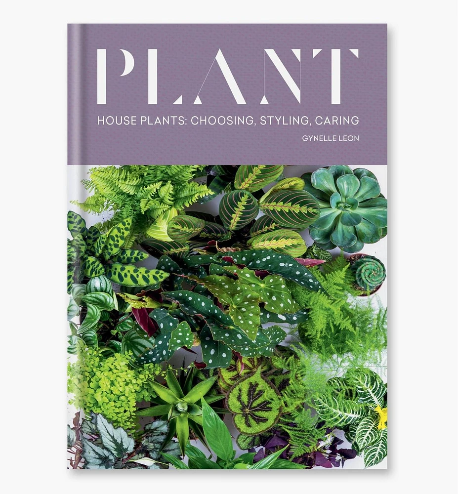 Plant – House Plants: Choosing, Styling, Caring