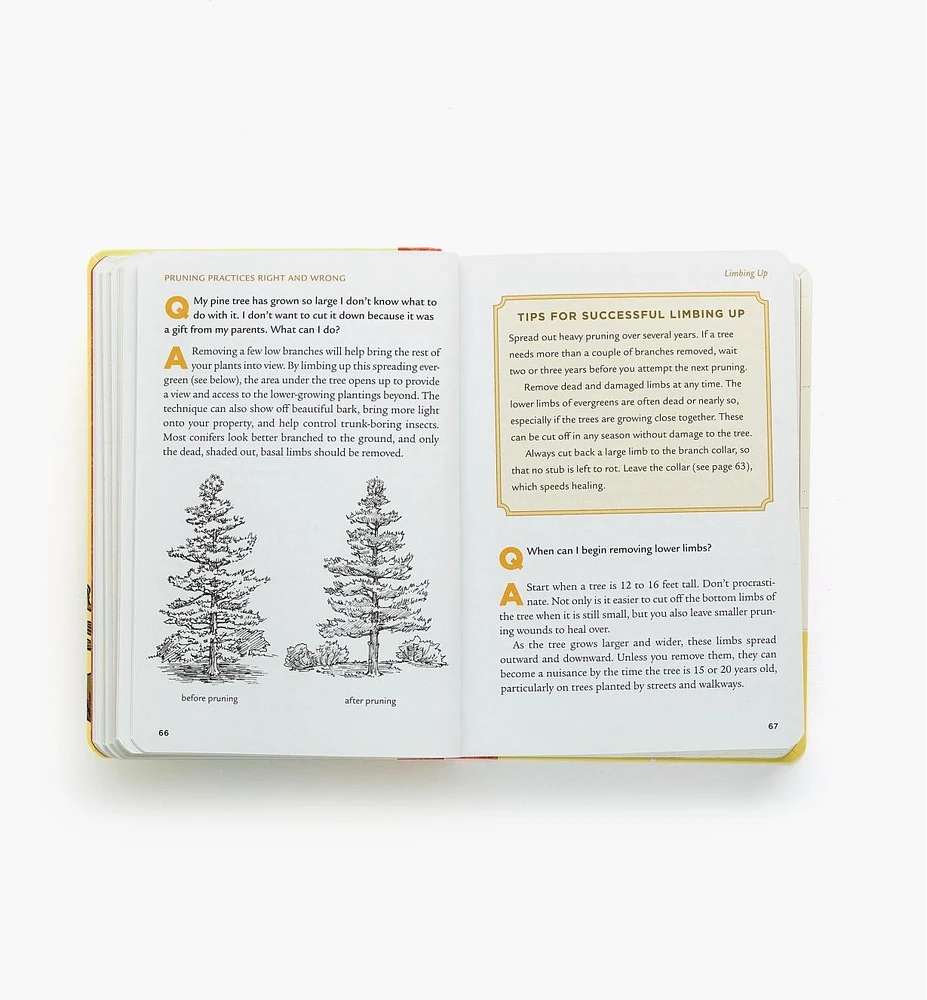 Pruning Answer Book