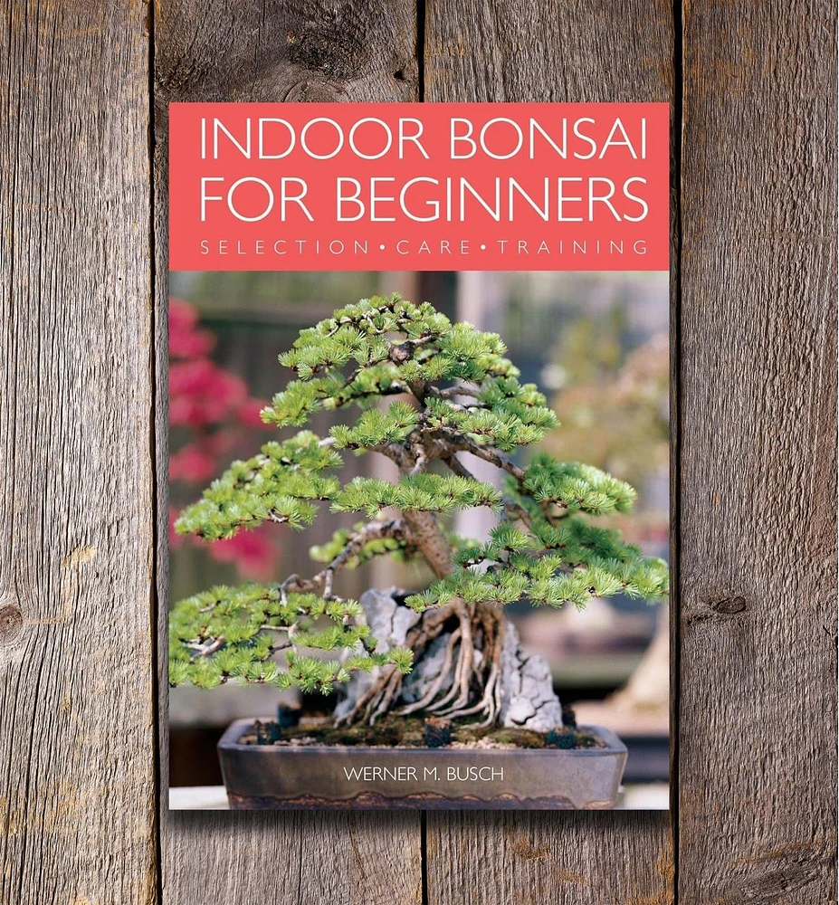 Indoor Bonsai for Beginners