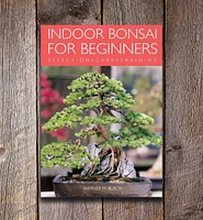 Indoor Bonsai for Beginners