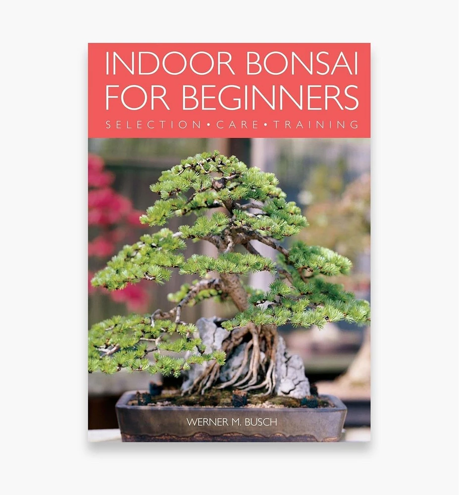 Indoor Bonsai for Beginners