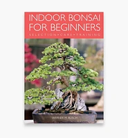 Indoor Bonsai for Beginners