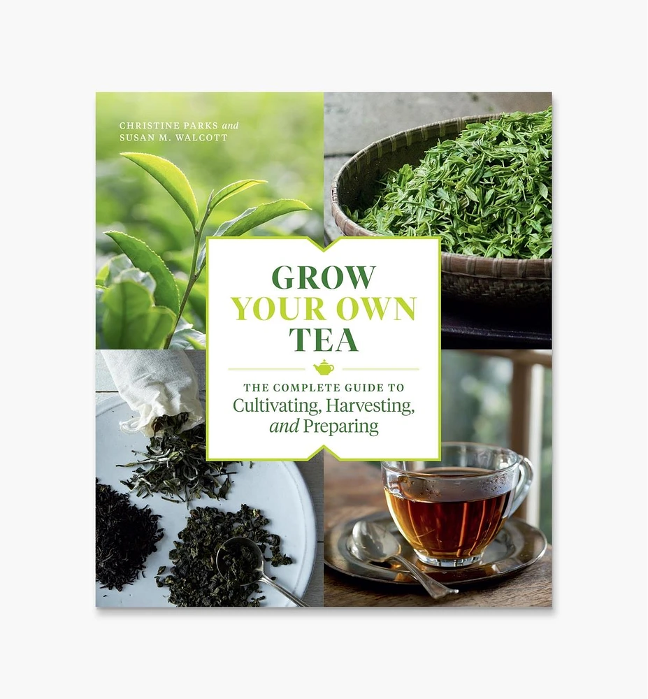 Grow Your Own Tea