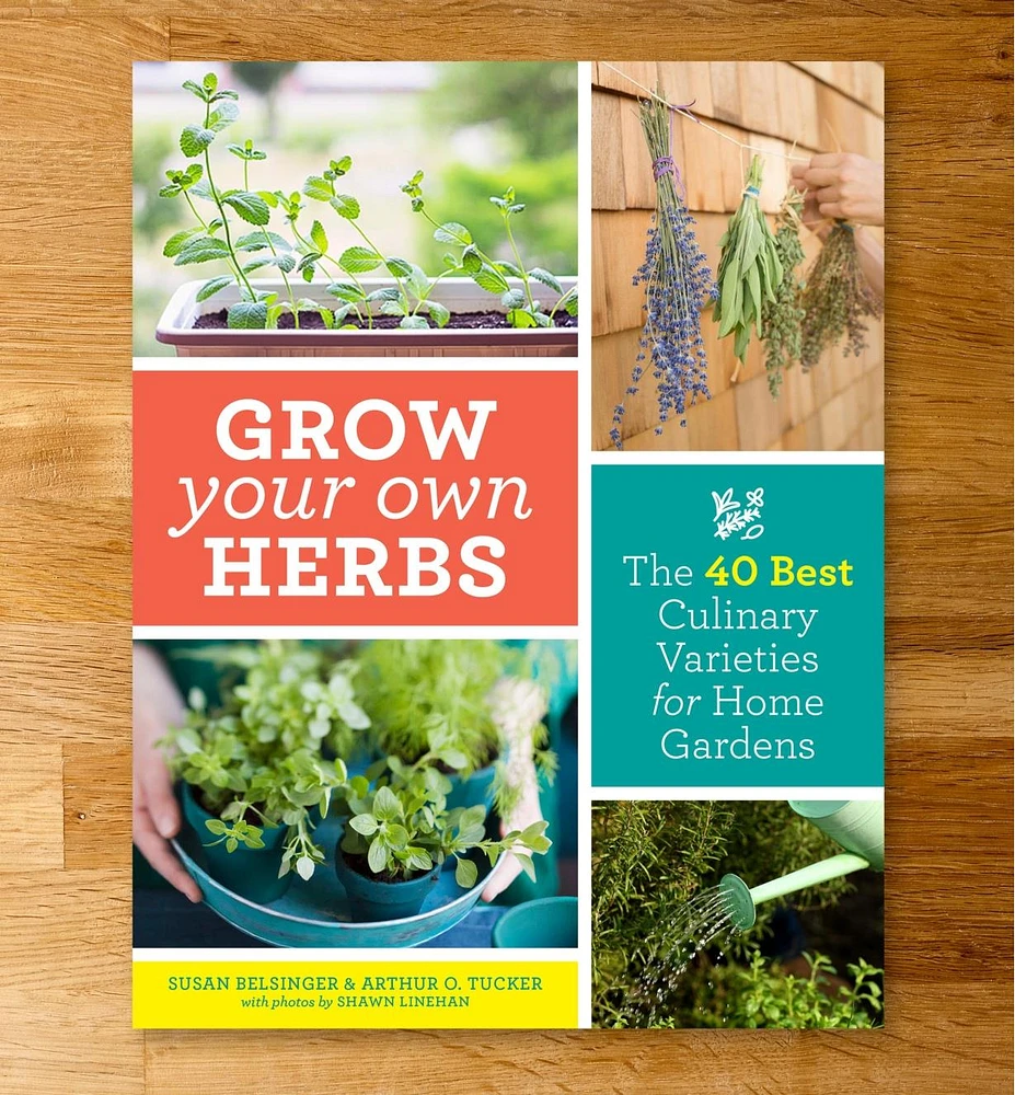 Grow Your Own Herbs