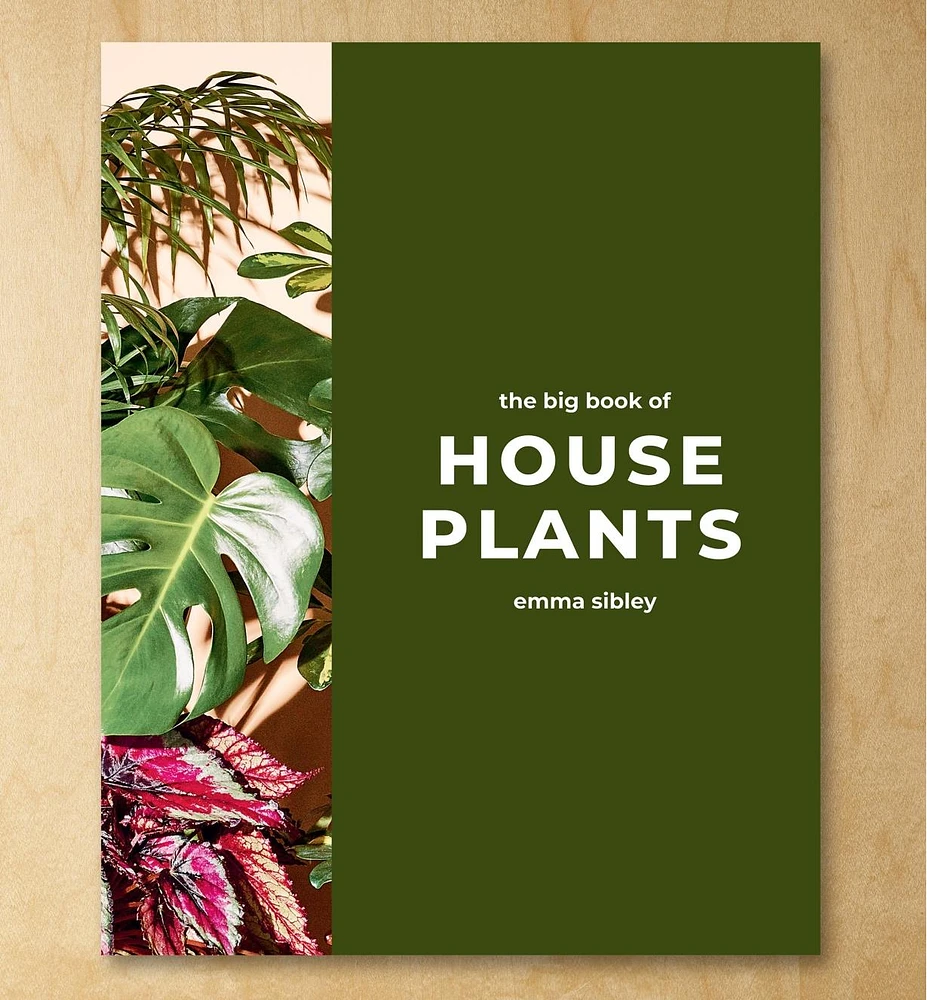 The Big Book of House Plants